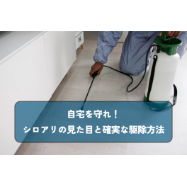 シロアリの見た目と確実な駆除方法