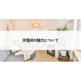 日本三大人工美林が生み出す奇跡の素材　天竜材について